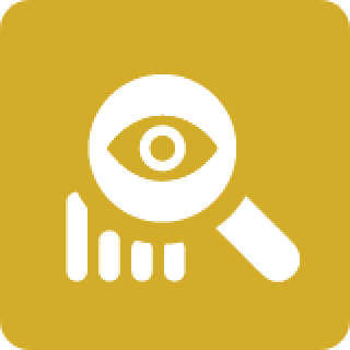 Icon Asset Monitoring